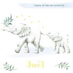 Geboortebericht baby Paulissen